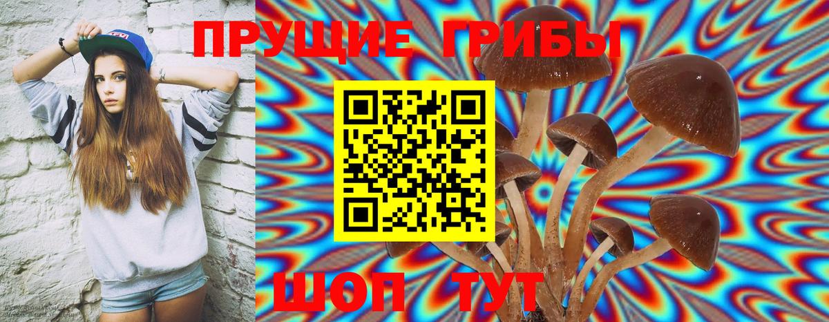 Псилоцибиновые грибы Psilocybe  Вход с VPN  Анжеро-Судженск  Псилоцибиновые грибы MAGIC MUSHROOMS 
