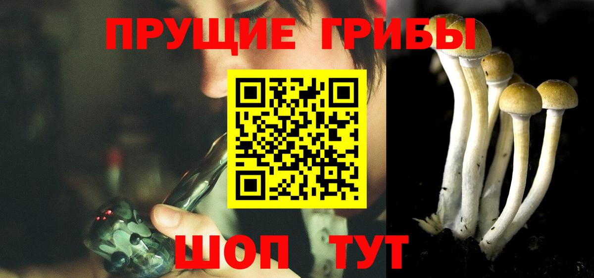 Псилоцибиновые грибы мицелий Анжеро-Судженск